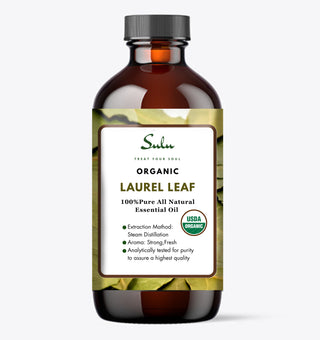 bay laurel oil