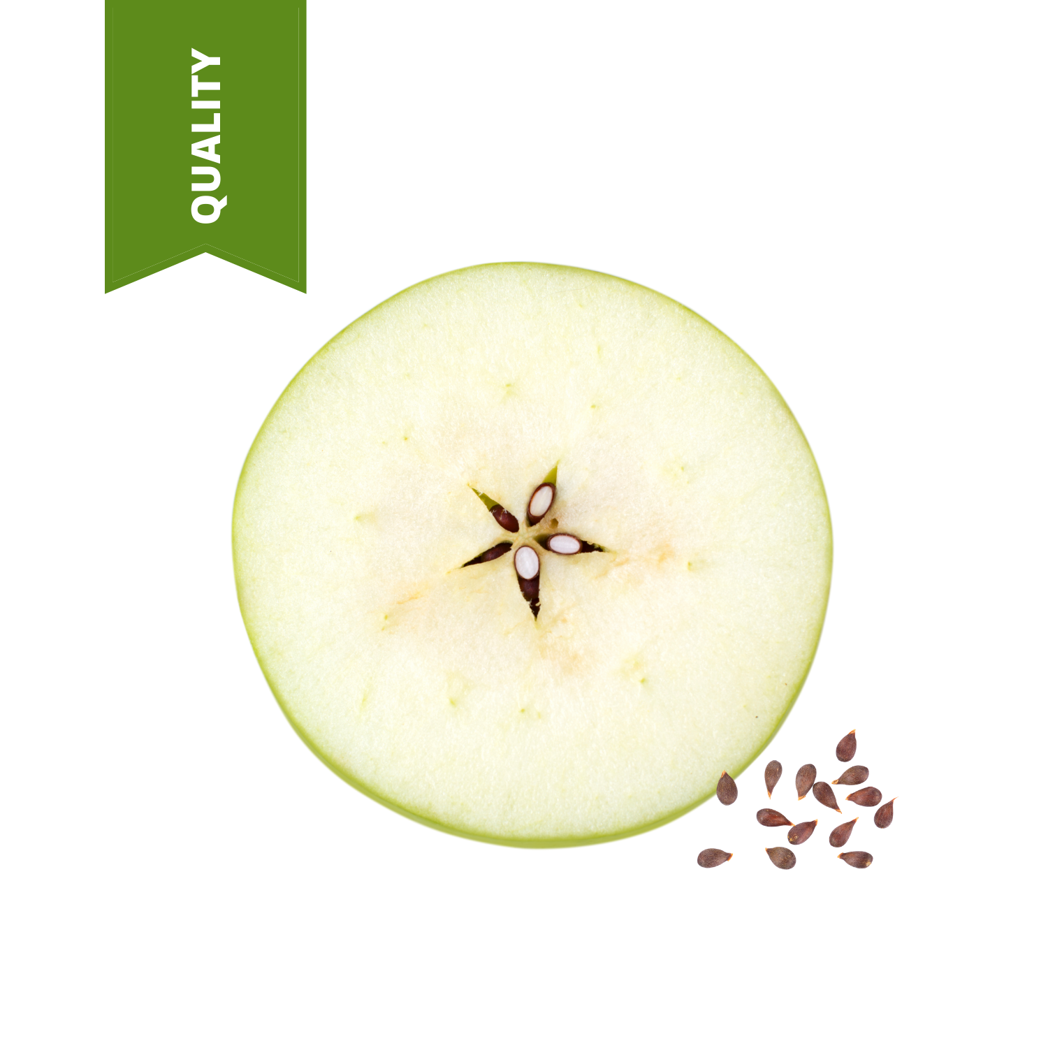 Apple Seed Carrier Oil – Essancia®