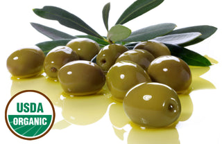 WHOLESALE OF ORGANIC UNREFINED EXTRA VIRGIN OLIVE OIL